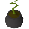 Bagged plant 1